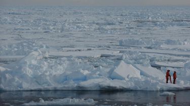 Investigando el hielo marino en el Ártico.