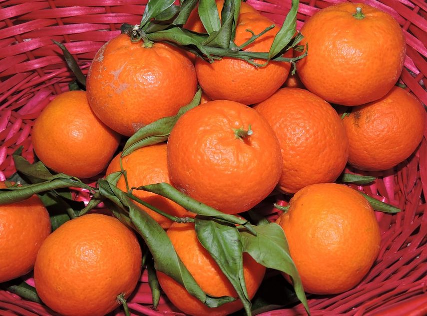 La vitamina C presente en las semillas de mandarina ayuda a fortalecer el sistema inmunológico, lo que puede ayudar a proteger el cuerpo de las infecciones.