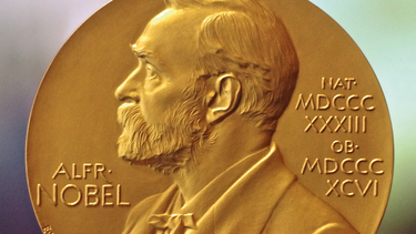 Vista parcial de una de las caras de la medalla de los premios Nobel, con la imagen del fundador de los reconocidos galardones, Alfred Nobel.