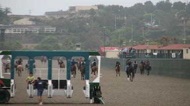 Varios&nbsp;trabajadores, en su mayoría&nbsp;hispanos, cuidan de los caballos pura sangre participantes en una competición de San Diego.