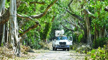 Un camión de FPL recoge líneas de energía en árboles caídos en Coral Gables.