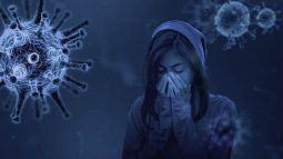 Imagen referencial. Imagen referencial.