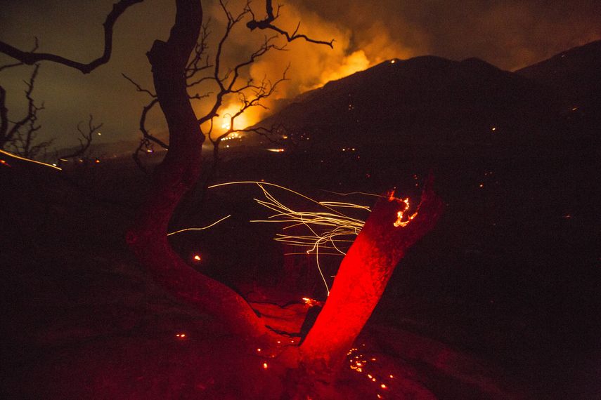 El viento hace volar las cenizas de un &aacute;rbol quemado por un incendio forestal el s&aacute;bado 5 de septiembre de 2020, en Yucaipa, California.&nbsp;