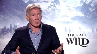 Harrison Ford es due&ntilde;o de varios perros y confiesa que los adora. Amo su compa&ntilde;&iacute;a, amo sentarme junto a mi perro o tenerlo en mi regazo. Siento el bienestar emocional de su presencia, nos cuenta.