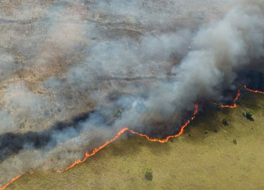 Foto distribuida por la Secretaría de Ecología y Medio Ambiente de México (SEMA) en el estado de Quintana Roo de un incendio en la reserva natural de Sian Kaan en la península de Yucatán, el domingo 14 de julio de 2019.