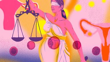 Para muchas personas es problem&aacute;tico que las gestantes cobren por este servicio, porque lo ven como una &ldquo;mercantilizaci&oacute;n&rdquo; de la maternidad. Sin embargo, incluso cuando no se cobra, un contrato es clave para no vulnerar derechos humanos.