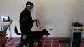El perro rastreador Diamond participa en un entrenamiento para detectar COVID-19 en el Aeropuerto Internacional San Oscar Romero, en San Luis Talpa, El Salvador el 19 de abril de 2021. El presidente de El Salvador, Nayib Bukele, anunció el sábado que el país tendrá perros entrenados para detectar personas infectadas con COVID-19 . El perro rastreador Diamond participa en un entrenamiento para detectar COVID-19 en el Aeropuerto Internacional San Oscar Romero, en San Luis Talpa, El Salvador el 19 de abril de 2021. El presidente de El Salvador, Nayib Bukele, anunció el sábado que el país tendrá perros entrenados para detectar personas infectadas con COVID-19 .