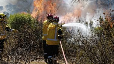 Los bomberos intentan extinguir el&nbsp;incendio&nbsp;declarado en Bormes les Mimosas, Tolón (Francia).