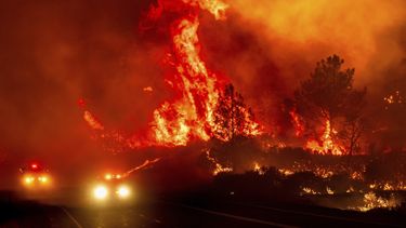 Las llamas saltan sobre los vehículos de bomberos mientras el incendio Park consume la autopista 36 cerca de Paynes Creek, en el condado de Tehama, California, el viernes 26 de julio de 2024.&nbsp;