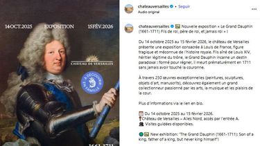 Flyer de la exposición El Gran Delfín del Palacio de Versailles en París, Francia.&nbsp;