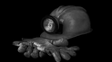 Nueve mineros atrapados tras derrumbe en mina de carbón en México