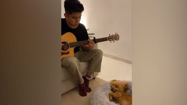 Un perro duerme mientras su due&ntilde;o le toca canciones de cuna.&nbsp;
