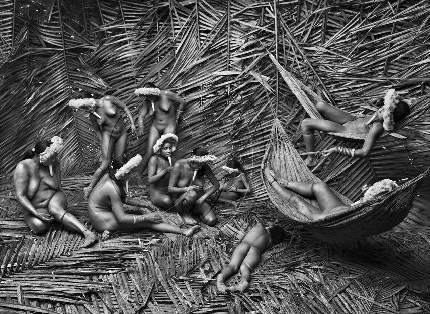 Amazonia (2013).