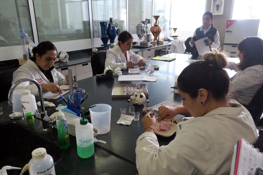 En el Centro Nacional de Recursos Genéticos (CNRG), ubicado en el estado de Jalisco, científicos preservan germoplasma de miles de especies.