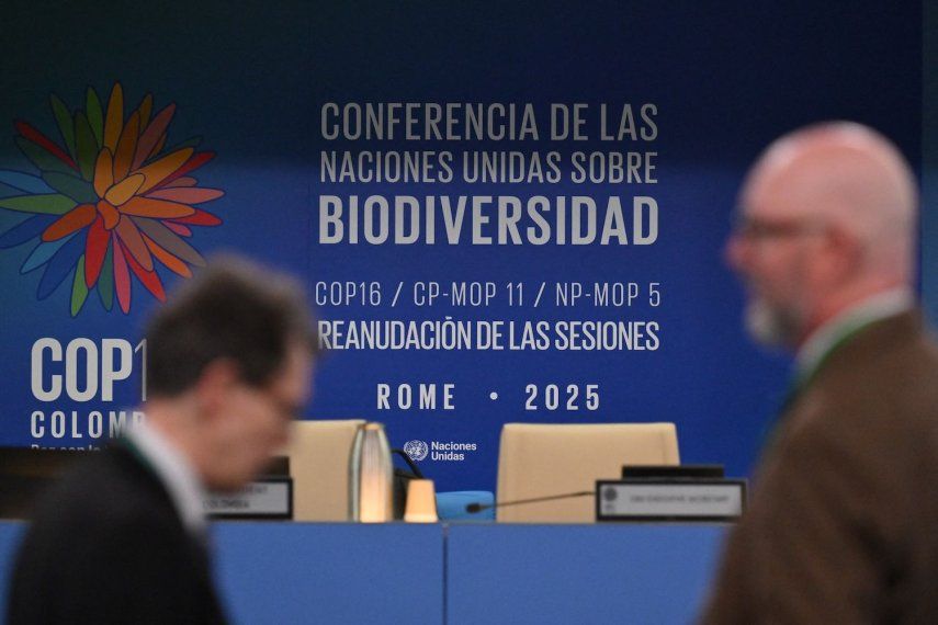 Los delegados llegan a la sala plenaria para asistir a la conferencia sobre biodiversidad COP16 en la sede de la Organización de las Naciones Unidas para la Alimentación y la Agricultura (FAO) en Roma, el 25 de febrero de 2025.&nbsp;