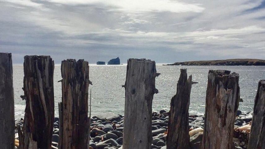 Vista del iceberg gigante que se convirtió en atracción turística en las costas canadienses.