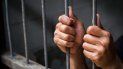 embajador viera blanco exige libertad para presos politicos
