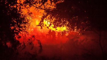 El director gallego fue galardonado con el Premio del Jurado en la sección Un Certain Regard del&nbsp;Festival de Cannes&nbsp;por su película O que arde.&nbsp;
