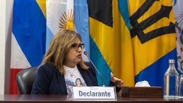 Aida Carrión, hermana de la fallecida Dina Carrión González.&nbsp;