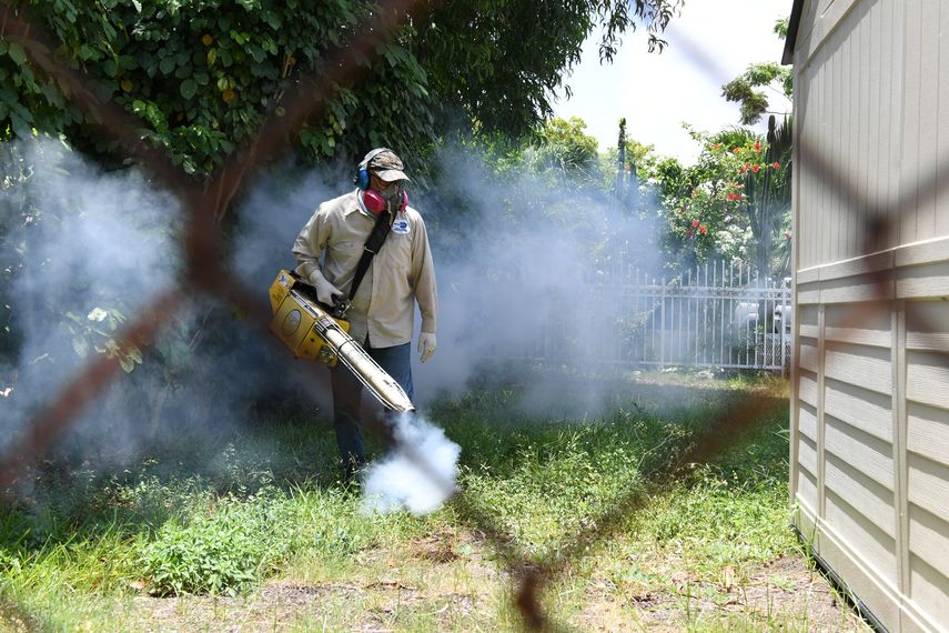 Wynwood y Miami Beach ganaron la gran batalla contra los mosquitos.
