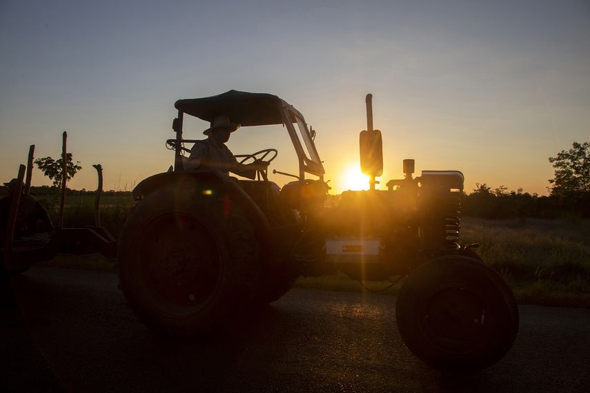 Un hombre maneja un tractor al amanecer en Batabanó, Cuba, 25 de octubre de 2022. Cuba padece sequías más prolongadas, aguas más cálidas, tormentas más intensas y niveles del mar más altos debido al cambio climático.&nbsp;