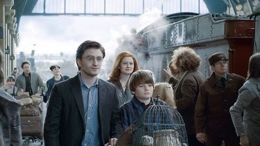 &nbsp;La saga de Harry Potter hizo famoso al búho nival (CORTESÍA).&nbsp;