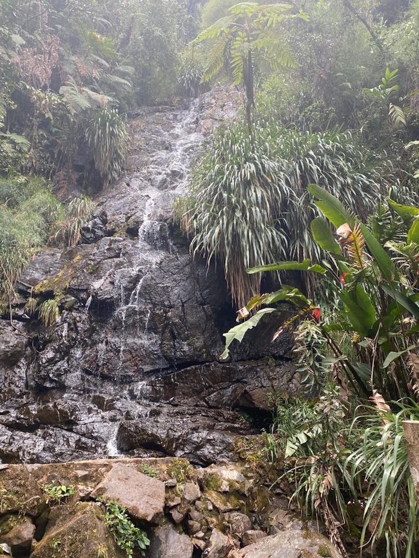 Además de abundante vegetación, en el Biotopo del Quetzal también hay cascadas.&nbsp;