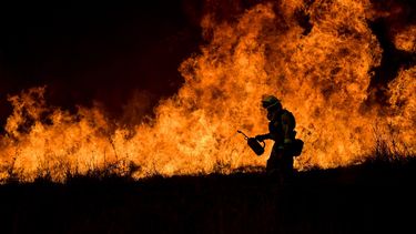 Las labores de extinción se complican por fuertes vientos y el difícil acceso a algunas áreas cubiertas de una espesa vegetación seca.&nbsp;