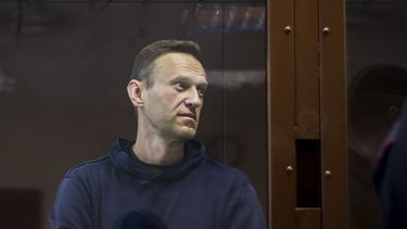 Opositor ruso Alexei Navalni.