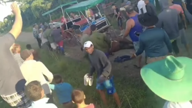 Coches de caballos en una competencia donde fuerzan a los animales.&nbsp;