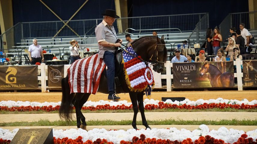 Benjamín León Jr. da la vuelta de la victoria luego de que su caballo Vivaldi ganara la final del Spectrum International de caballos de paso fino, la noche del domingo 26 de mayo en el Tropical Park, en Miami.