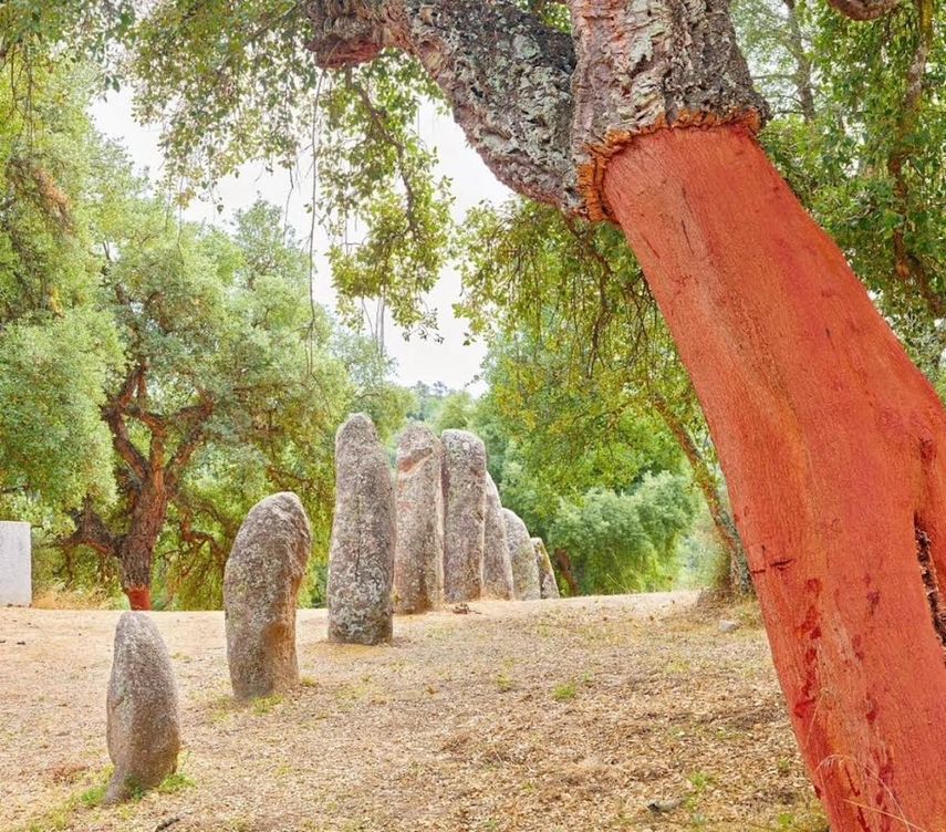 Obra que conforma la exposición La muestra Viaje por Cerdeña. El Solsticio de la Fotografía 2018-2025. Instituto Italiano de Cultura de Miami