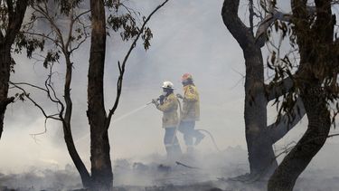 Bomberos combaten un incendio forestal en Bredbo, cerca de Canberra, en Australia, el 2 de febrero del 2020.&nbsp;