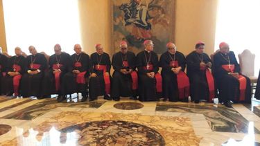 La audiencia privada con el pontífice se prolongó durante más de dos horas y se enmarca en la visita Ad Limina Apostolorum (la que realizan las conferencias episcopales cada cinco años al Vaticano) que llevan a cabo los obispos venezolanos, en Roma desde el 6 de septiembre.
