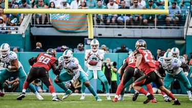 Los Dolphins dejaron su marca en cuatro victorias y seis derrotas esta temporada.