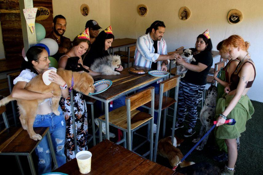 Personas con sus perros celebran el cumpleaños de Mika, una perrita pomerania que cumplió 5 años, en un restaurante canino en Cartago, en Costa Rica.