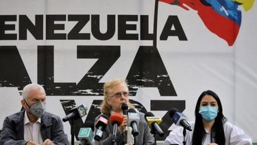 Los integrantes del comité organizador de la Consulta Popular ofrecen una rueda de prensa.