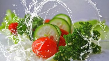 Los vegetales es el mejor menú para cenar.&nbsp;