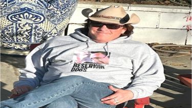 A lo largo de una carrera de más de 40 años, Madsen participó en más de 300 producciones. Sus papeles más memorables fueron como Mr. Blonde y y Budd