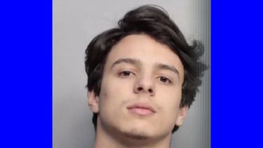 Sean Mesa, de 18 años de edad, había compartido pornografía infantil en un chat colectivo.&nbsp;