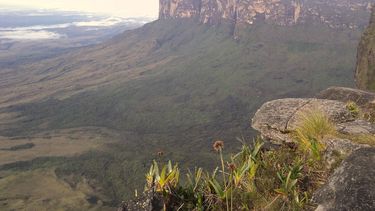 Roraima, Venezuela.&nbsp;