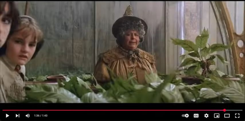 La Profesora Sprout de Harry Potter, Miriam Margolyes, comparte su pronóstico de vida&nbsp;