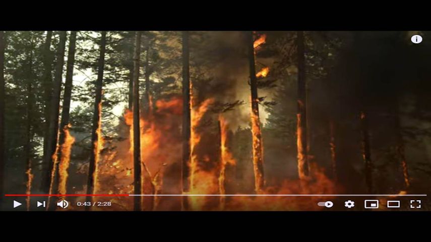 Imagen del documental Bring Your Own Brigade de la cineasta Lucy Walker.