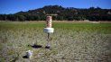 Una boya permanece sobre tierra seca que estuvo cubierta de agua en el lago Mendocino, afectado por la sequía, en Ukiah, California. Una boya permanece sobre tierra seca que estuvo cubierta de agua en el lago Mendocino, afectado por la sequía, en Ukiah, California.