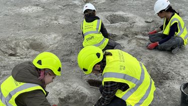 Una fotografía tomada por la paleontóloga de vertebrados, Dra. Emma Nicholls, y publicada por la Universidad de Historia Natural de Oxford el 2 de enero de 2025 muestra a miembros del equipo de excavación trabajando en las huellas en la cantera de Dewars Farm, al norte de Oxford en el centro de Inglaterra el 17 de junio de 2024.&nbsp;