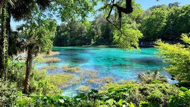 Rainbow springs, Florida