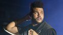 The Weeknd actúa en el festival Lollapalooza en Chicago el 4 de agosto de 2018. The Weeknd, quien fue nominado a ocho American Music Awards, fue completamente desairado en los Grammy el martes, cuando no recibió ninguna candidatura pese a tener un álbum No. 1. The Weeknd actúa en el festival Lollapalooza en Chicago el 4 de agosto de 2018. The Weeknd, quien fue nominado a ocho American Music Awards, fue completamente desairado en los Grammy el martes, cuando no recibió ninguna candidatura pese a tener un álbum No. 1.