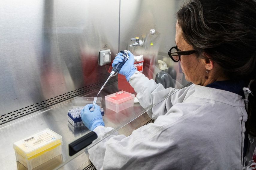 Esta fotografía, distribuida por el Ministerio de Salud de Argentina, muestra a un científico del Instituto Malbrán manipulando recipientes utilizados para diagnosticar el hantavirus Andes.&nbsp;