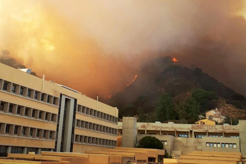 La mayoría de los operativos se llevaron a cabo en las regiones de Lacio -donde se encuentra Roma- y Campania.