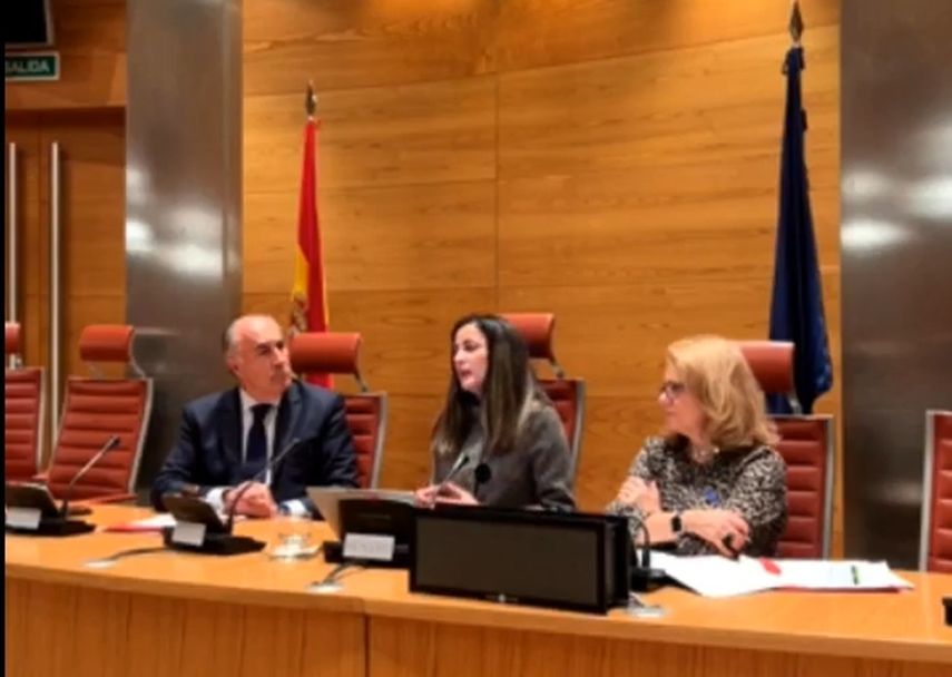 Captura de pantalla.&nbsp;